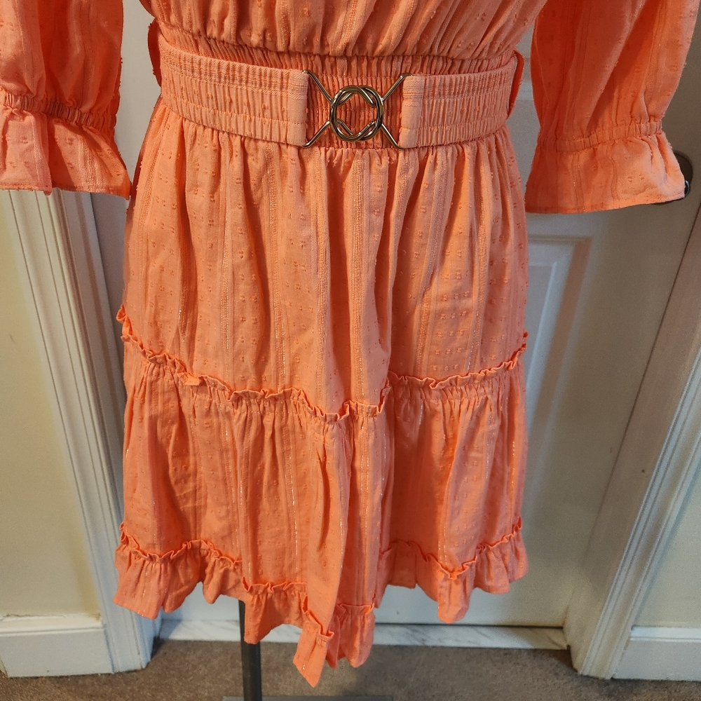 Lilly Pulitzer Dress Size Small - Picture 2 of 6